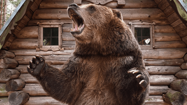 Brown grizzly bear near a log cabin