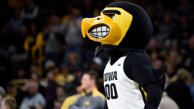 Iowa's mascot, Herky the Hawkeye, watches on during a basketball game.