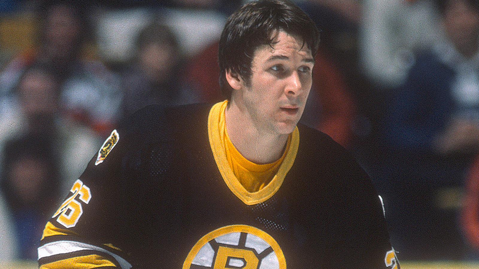 An NHL Player Beat A Fan With His Own Shoe During A Wild Brawl