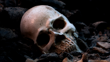 Shopper Finds Human Skull In Halloween Section Of Thrift Store