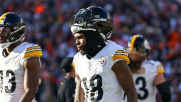 Steelers WR Diontae Johnson Gives Embarrassing Lack Of Effort As Fumble Literally Bounces At His Feet