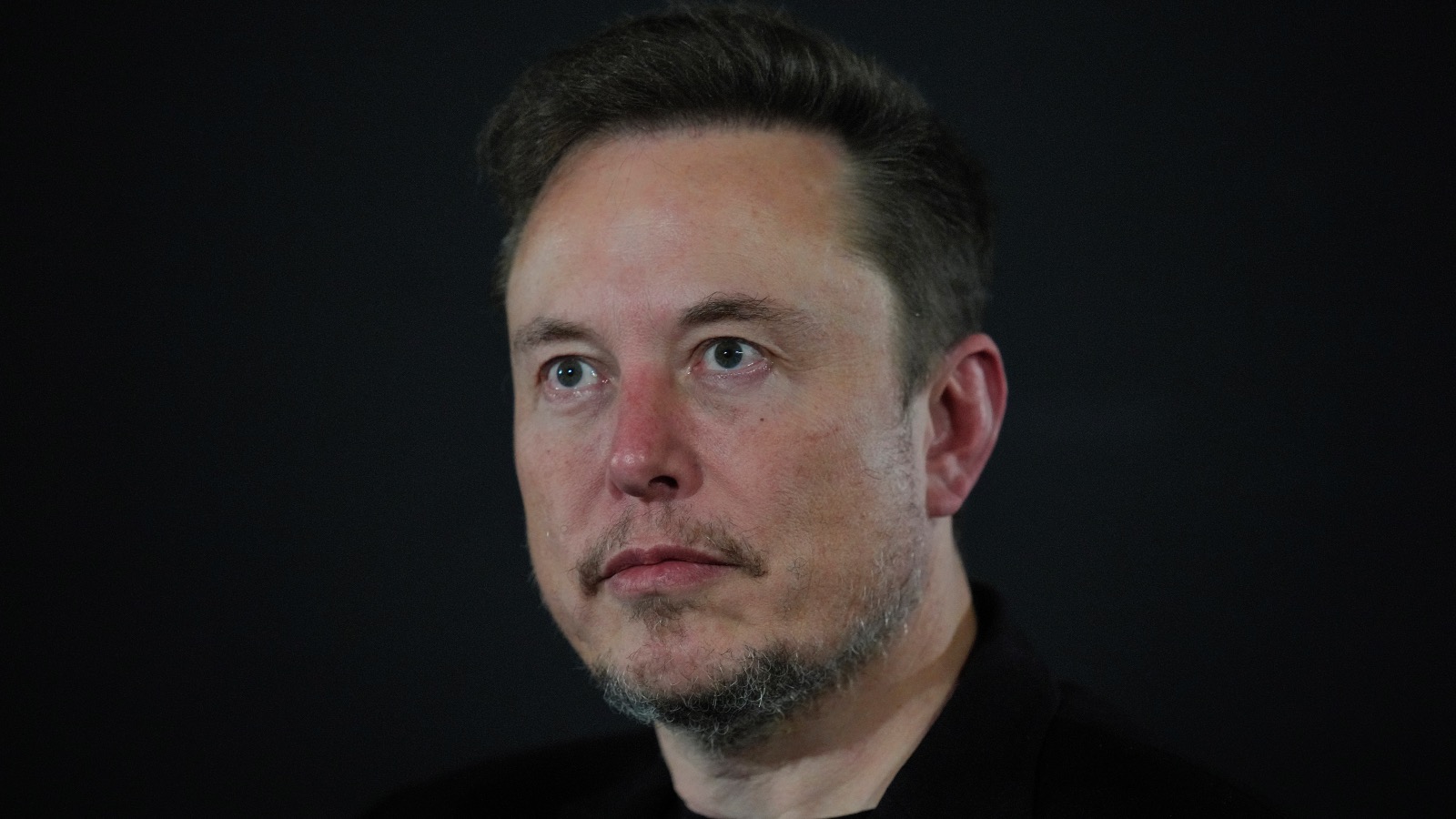 Elon Musk staring into the distance