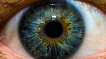 Doctors Successfully Performed The First Human Eyeball Transplant