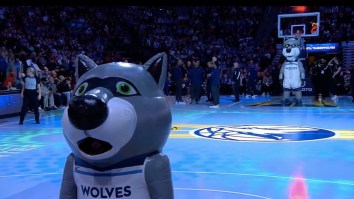 Timberwolves Unveil Acid Trip Of A Halftime Show That Features Two Inflatable Canines Serenading Each Other To Bonnie Tyler