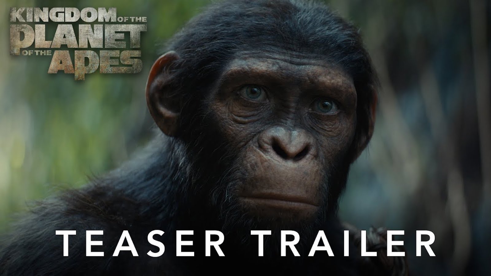 WATCH Trailer For 'Kingdom of the of the Apes'