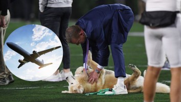 Kirk Herbstreit’s Adorable Golden Retriever Will Travel Record Miles For Football Games This Weekend