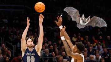 Exasperated College Hoops Coach Makes Passionate Plea After Swarming Bats Cause Chaotic Delay