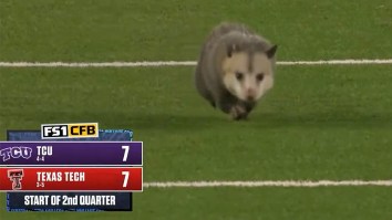 Angry Opossum Crashes College Football Game, Throws Hissy Fit When Forcibly Escorted Out