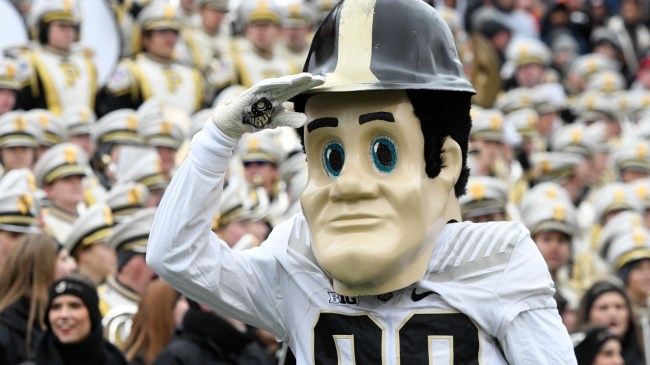 The Purdue mascot on the sidelines during a football game.