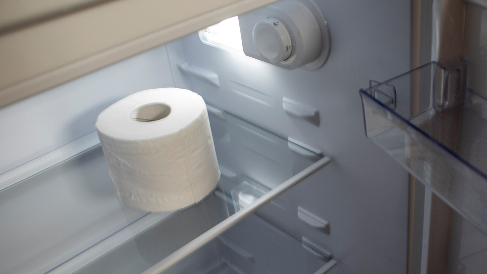 Toilet Paper In the Fridge Hack - Parade