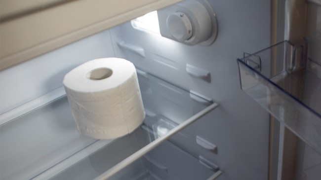 Roll of toilet paper in fridge