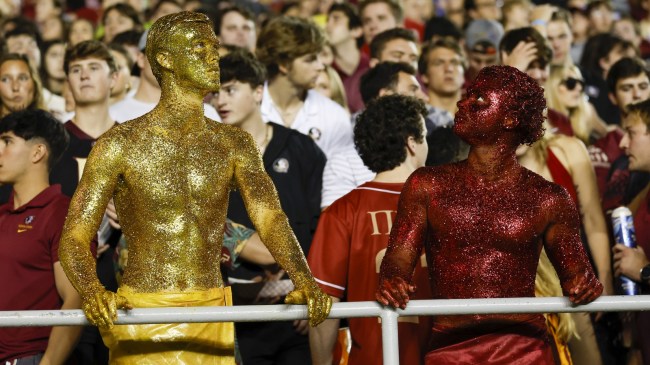 Florida State fans react to a play on the field.