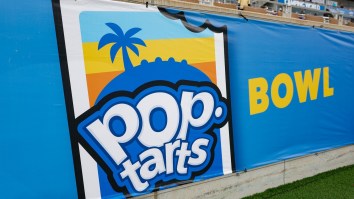 Pop-Tarts Bowl Postgame Edible Mascot Is A Huge Flop, Not A Real Mascot