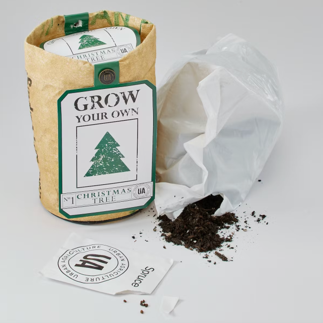 Urban Agriculture Grow Your Own Christmas Tree