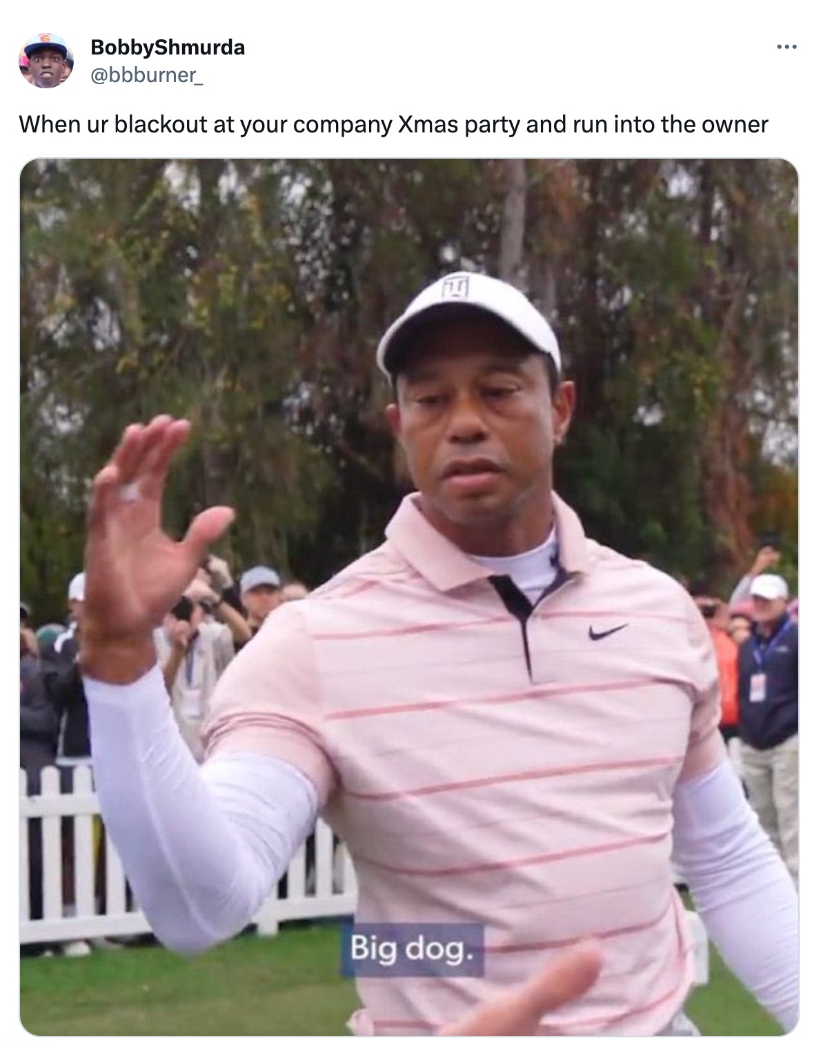 best of the Tiger Woods Big Dog meme