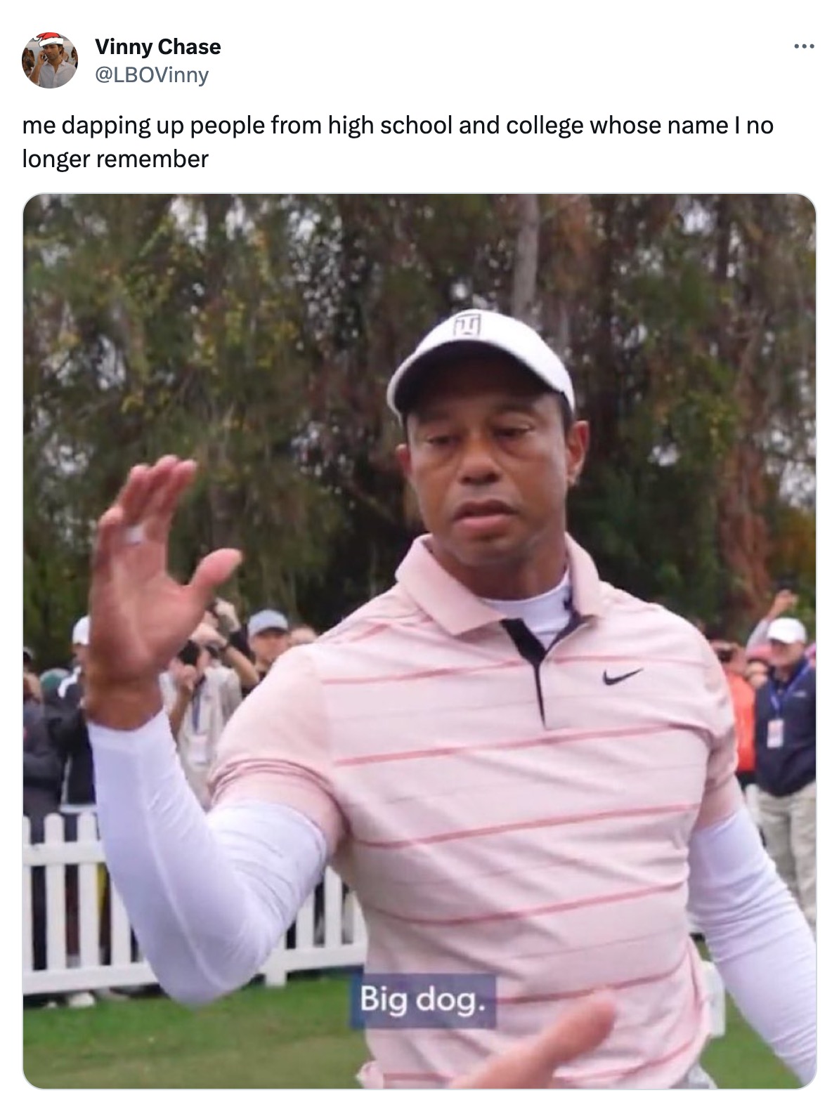 Best Of The Tiger Woods 'Big Dog' Meme Taking Over The Internet