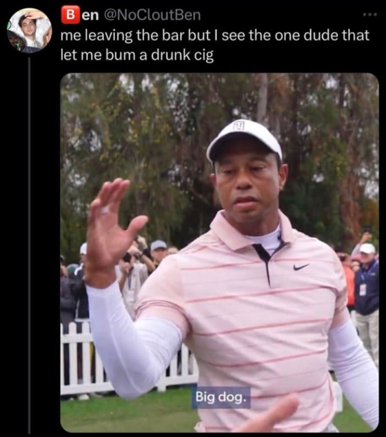 best of the Tiger Woods Big Dog meme