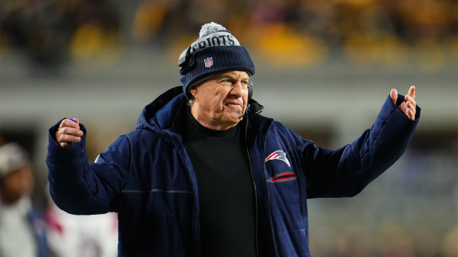 bill belichick reacts to play on sidelines