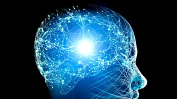 Scientists Have Created ‘Mind-Reading’ AI That Works Without Invasive Implants