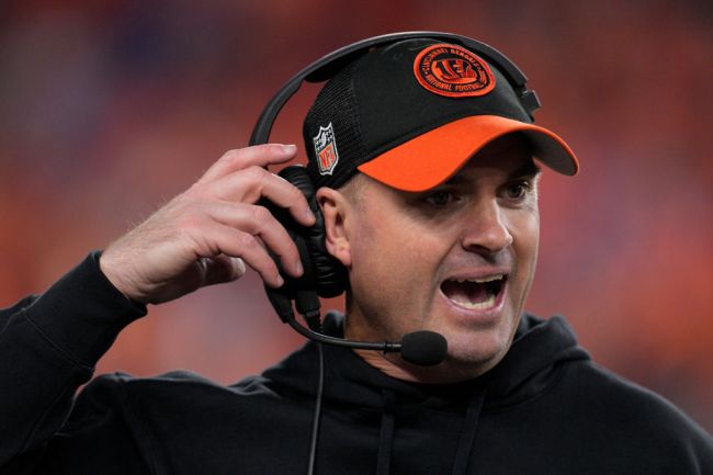 cincinnati bengals head coach zac taylor