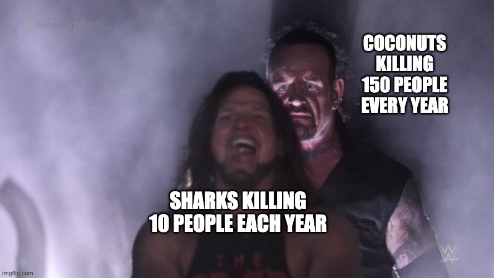 funny meme about sharks vs coconuts
