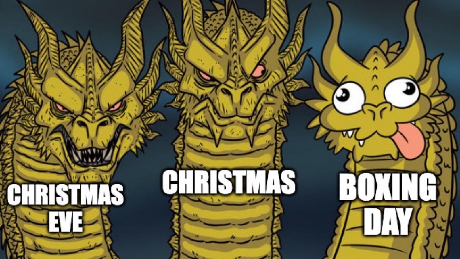funny meme about Christmas holidays