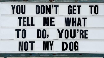 52 Of The Funniest New Memes On The Internet Right Now