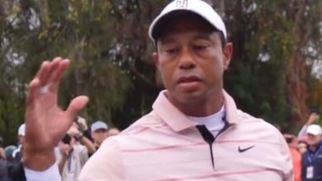 Best Of The Tiger Woods ‘Big Dog’ Meme That’s Taken Over The Internet