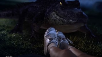VFX Artists Review Film Titled ‘Bad CGI Gator’ And It Actually Seems Kind Of Awesome