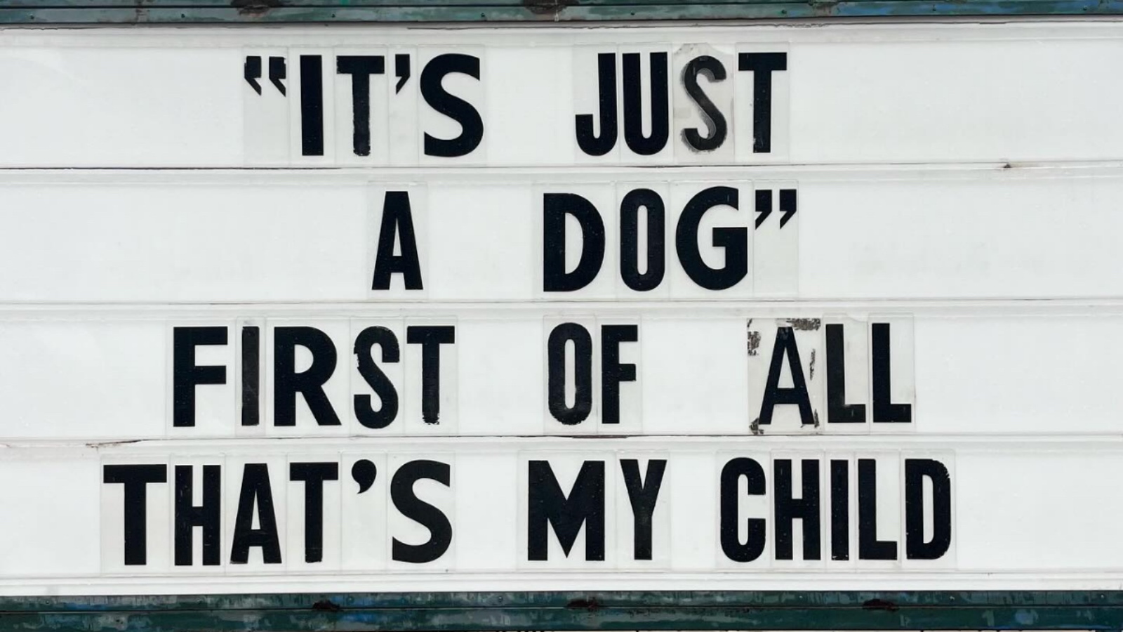 52 Of The Straight-Up Funniest New Memes On The Internet Today