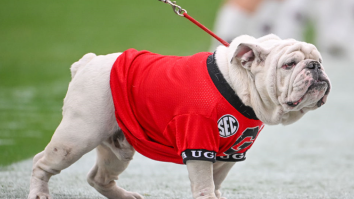 PETA Under Fire Over Post About Death Of Georgia Bulldogs Mascot