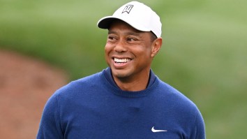 Topgolf Creates Hilarious Job Listing To Recruit Tiger Woods On LinkedIn After Nike Split