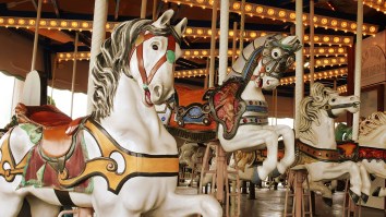 PETA Wants To Kill Fun By Removing Fake Animals From Carousels