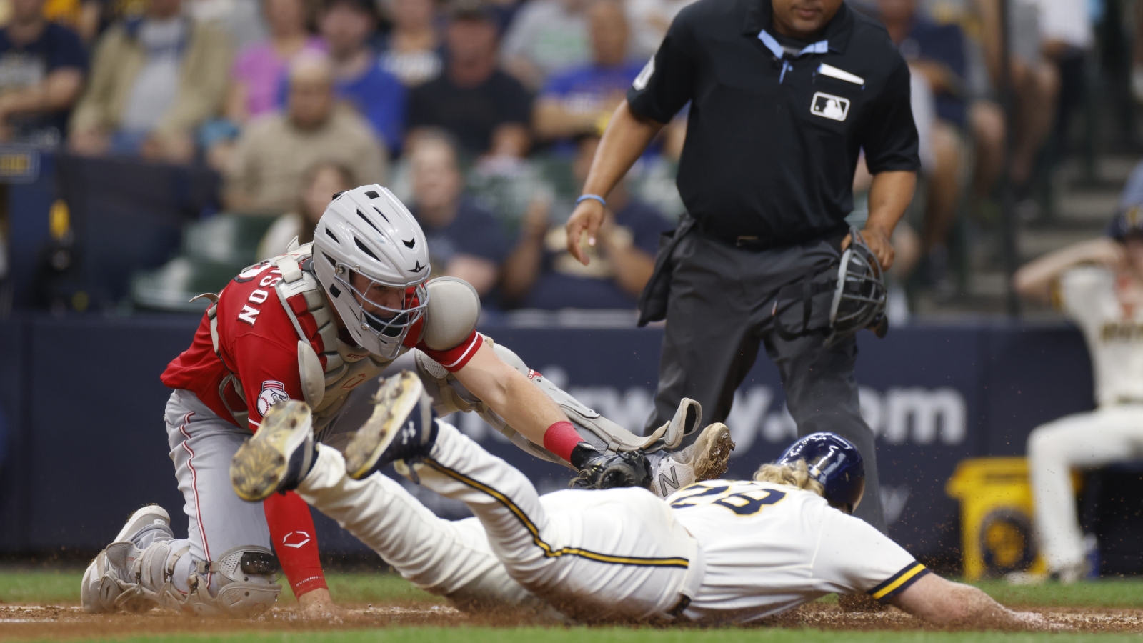 Reds Spring Triaining Reds Spring Training Full Of Wacky Viral Moments