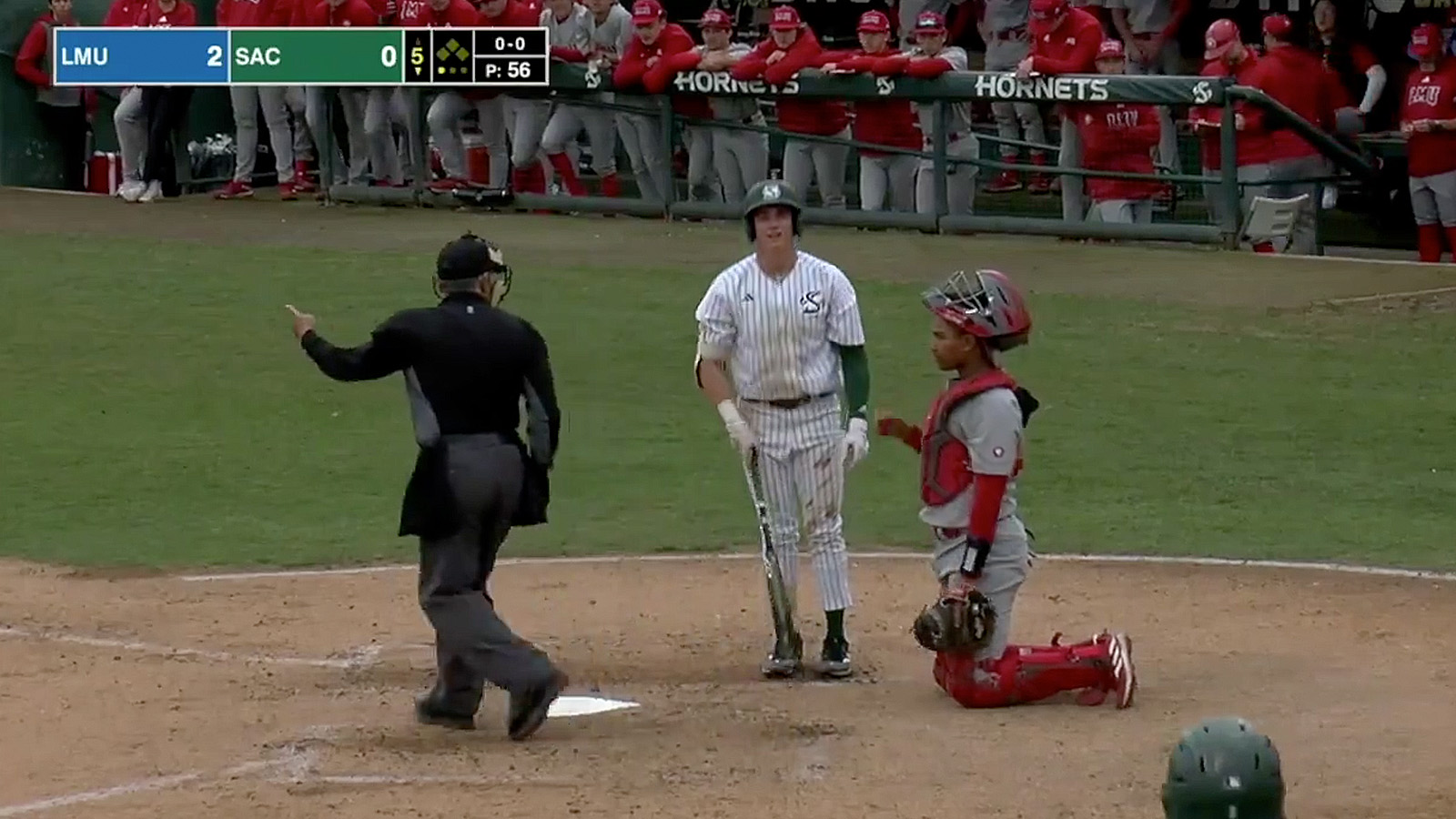 College Baseball Player Miraculously Hit By 7 Pitches In First 8 ABs