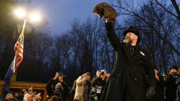 Twitter Users Are Absolutely Shocked To Learn The Name Of Punxsutawney Phil’s Home