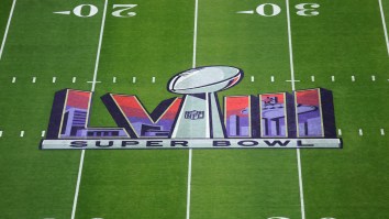 Super Bowl LVIIII Streaker Fined Incredible Amount Of Money