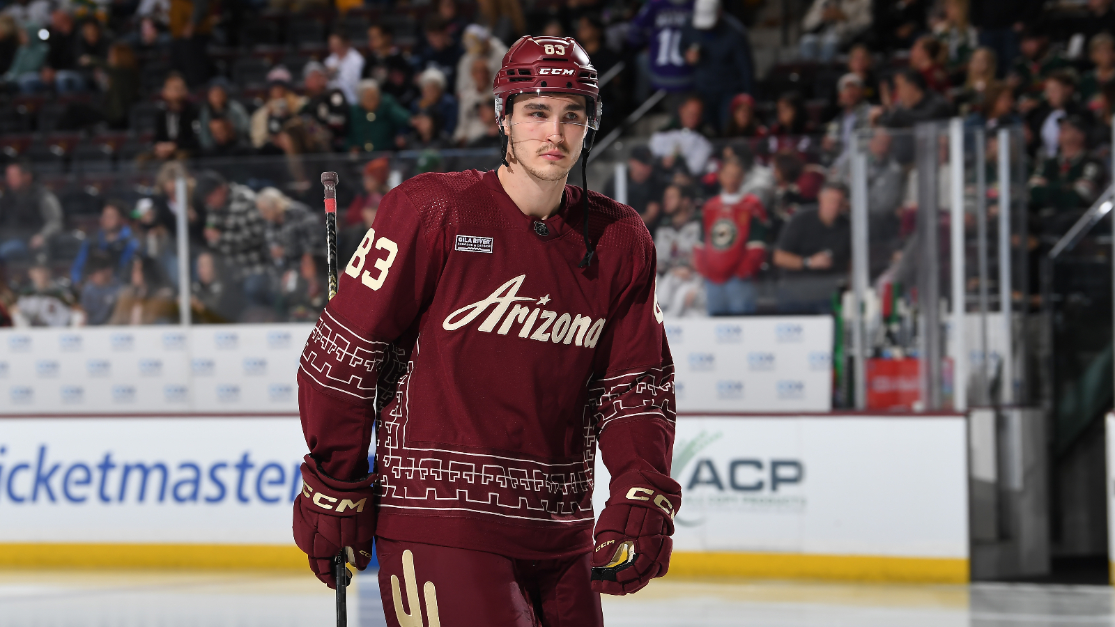 Arizona Coyotes Waive Adam Ruzicka After He Posts Video Appearing To Do ...