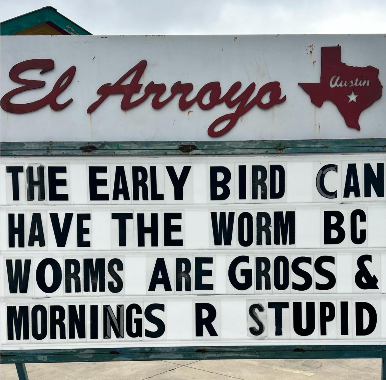 early bird vs the worm funny meme