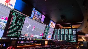 nfl being watched at a sportsbook