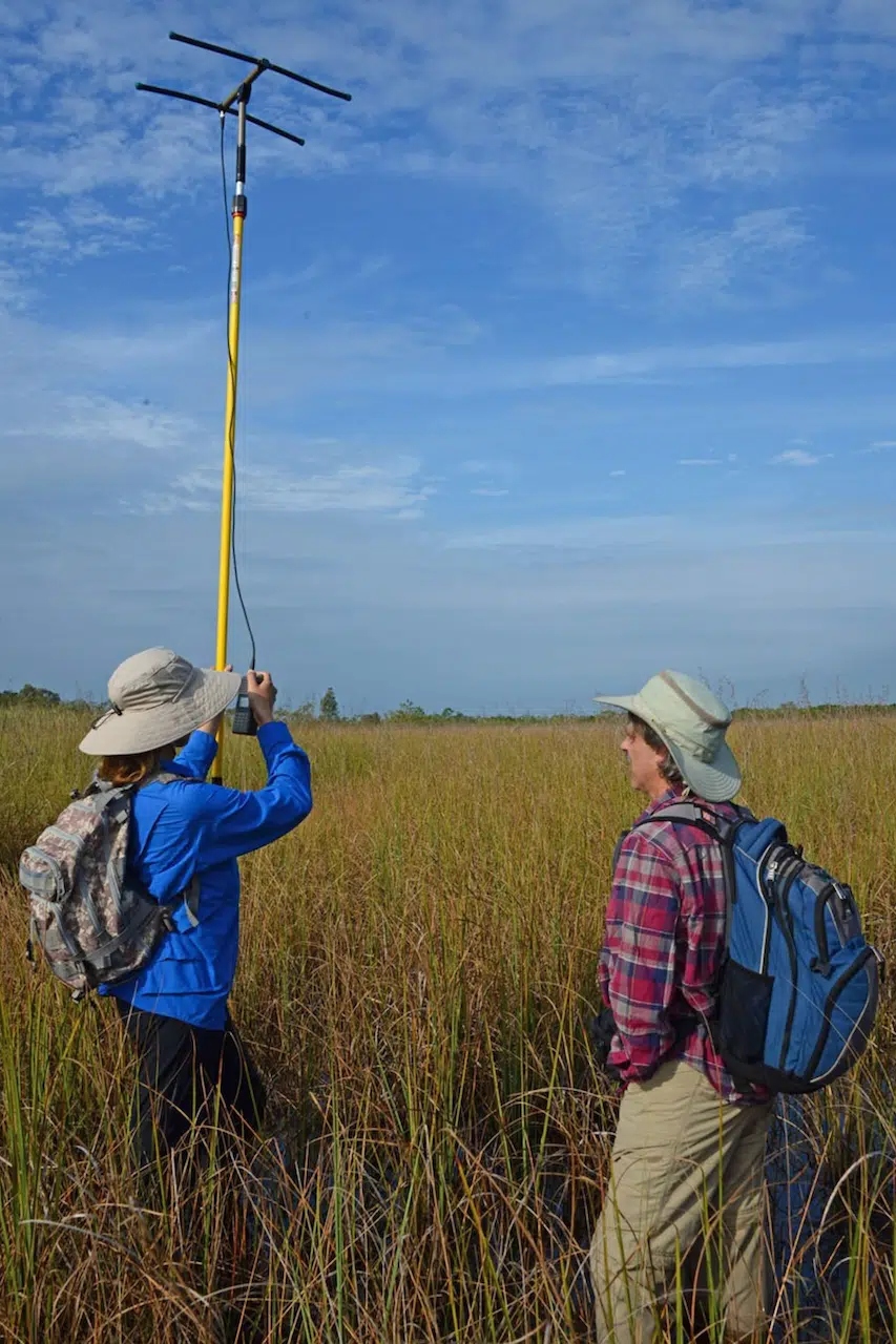 radio equipment to track Burmese pythons in The Everglades