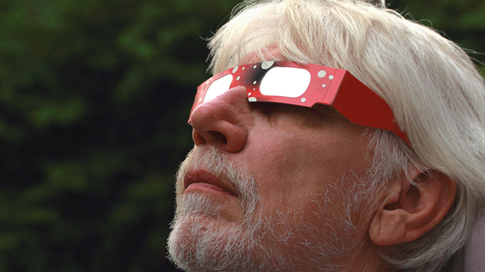 Scientists Issue Warning About Fake Eclipse Glasses: What To Do