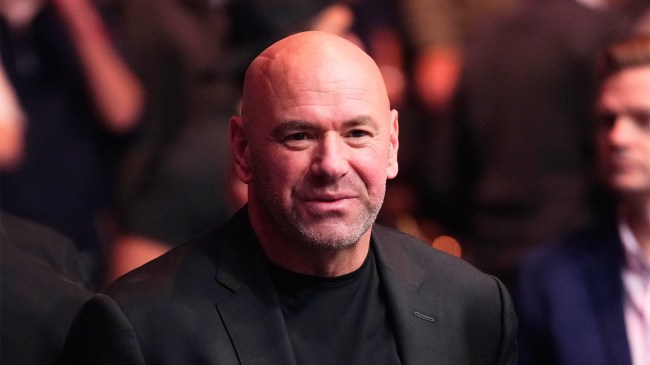 UFC CEO Dana White UFC 295