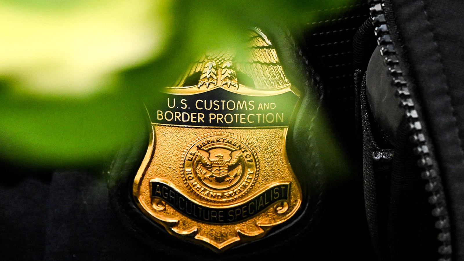 CBP Agents Seize Over $40 Million Worth Of Meth In 2 Major Busts