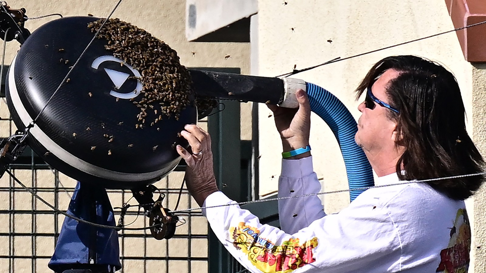 Indian Wells Beekeeper Lance Davis Goes Viral