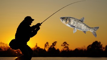Missouri Angler Catches World Record 97-Pound Bighead Carp Fishing In The Mississippi River