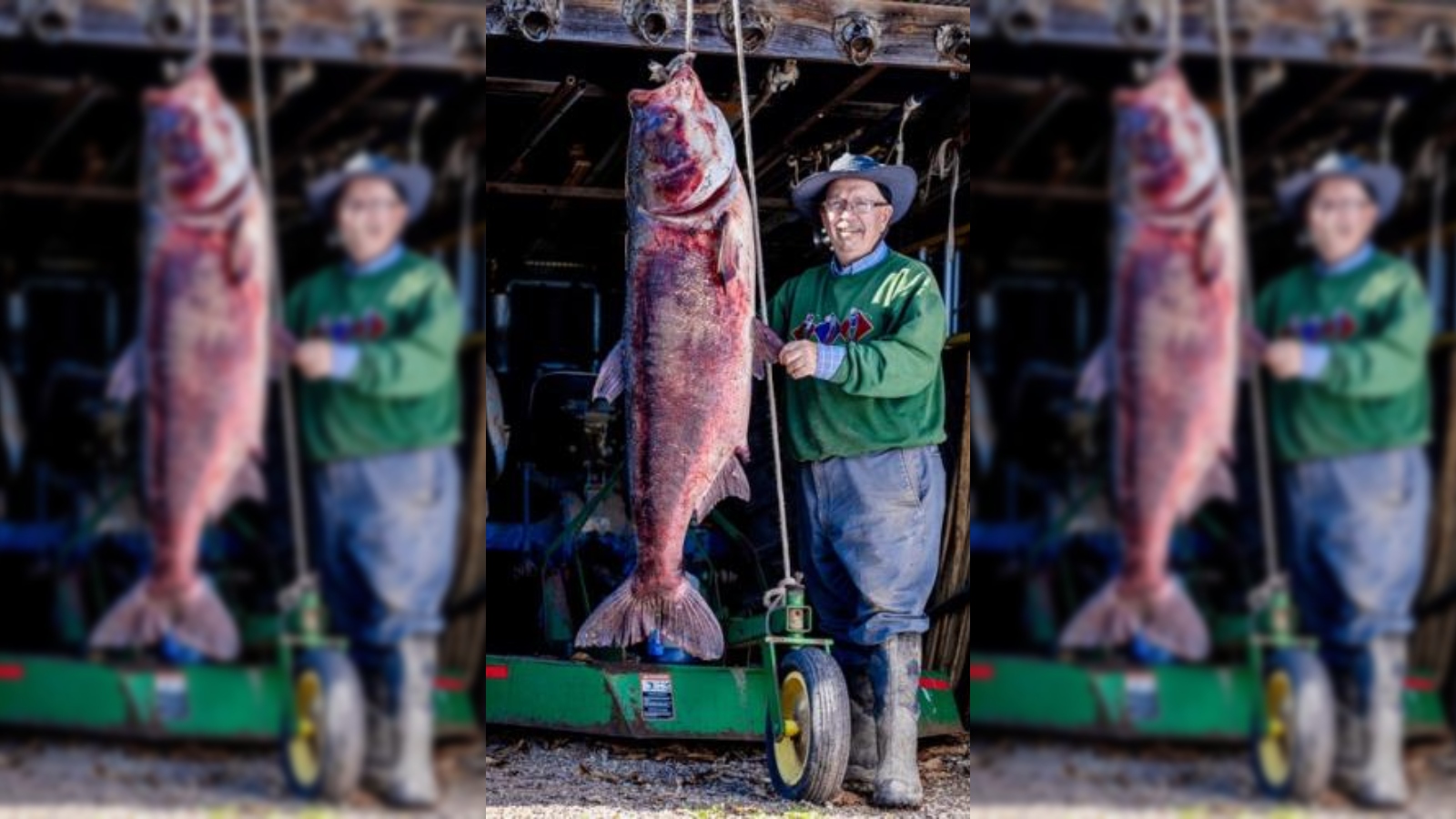new world record bighead carp caught in Missouri