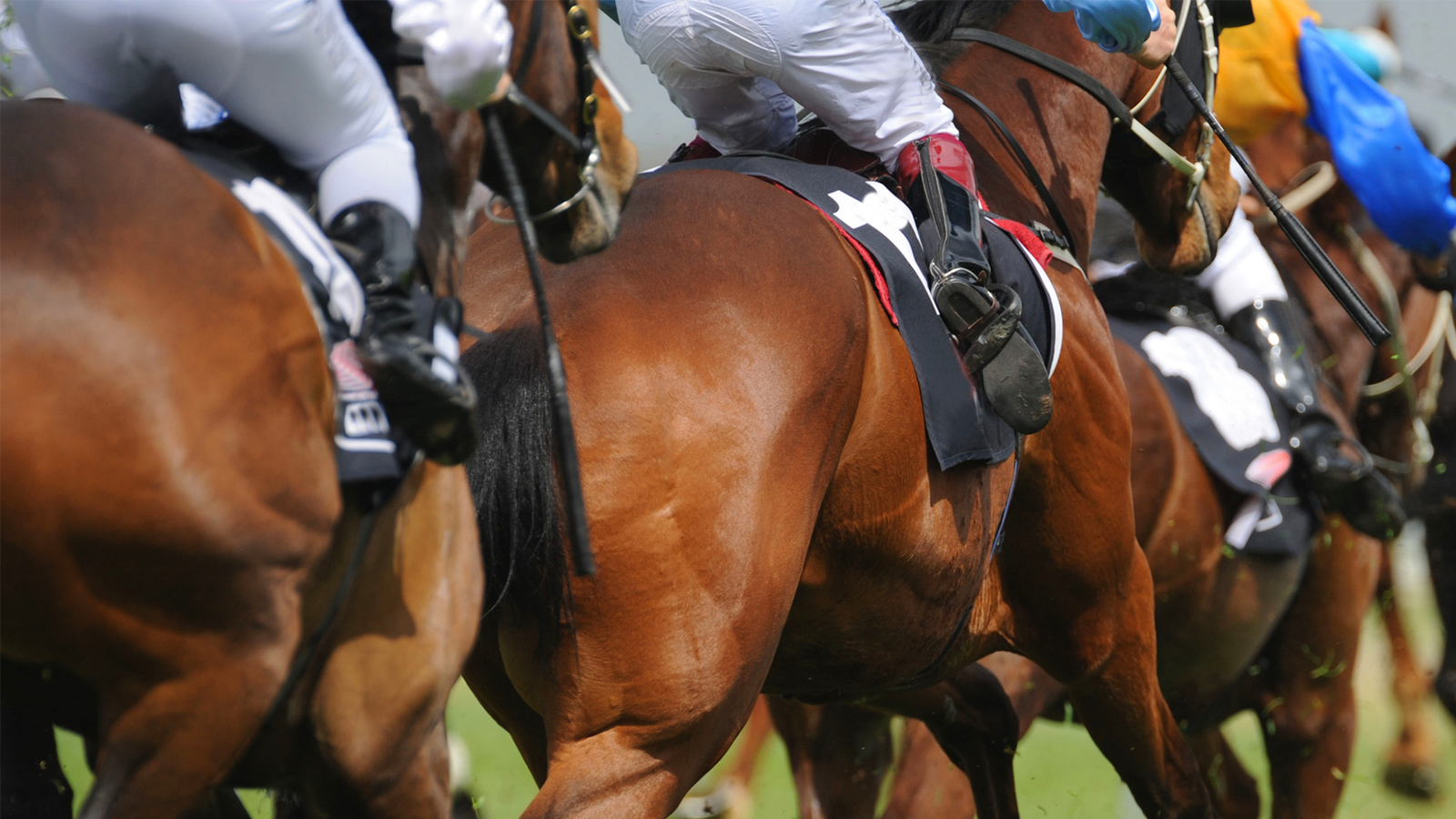 Louisiana Horse Race Derailed After Jockeys Narrowly Avoid Being Hit By Ambulance Driving The Wrong Way On The Track