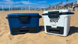 The Ninja FrostVault™ Hard Cooler Was My Perfect Weekend Beach Companion (20% OFF UNTIL 9/30!)