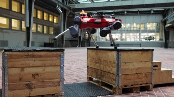Startling New Video Shows AI-Powered Robot Dog Easily Conquering Obstacle Course